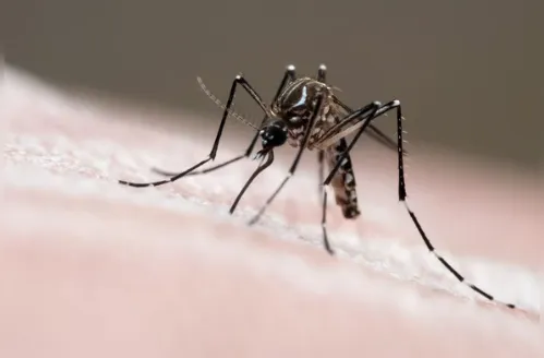 Casos de dengue caem 58% em Alagoas em 2025