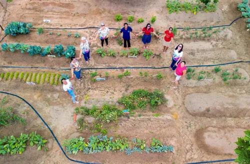 Experiências de Alagoas no combate a mudanças climáticas serão apresentadas na COP30, em Belém