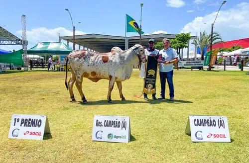 Expoagro 2025 foca em inovação e protagonismo no agronegócio do Nordeste
