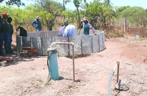 Ferramenta tecnológica ‘Sisteminha’ amplia produção e renda de famílias rurais