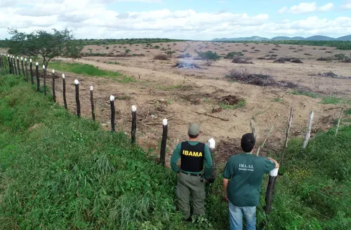Mata Atlântica perde espaço para agricultura e pecuária em Alagoas