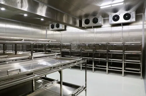 Mortos esquecidos: 87 corpos aguardam por parentes em Alagoas