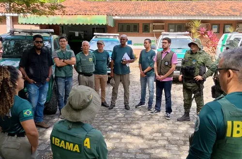Operação em AL aplica R$ 2,5 mi em multas por desmatamento