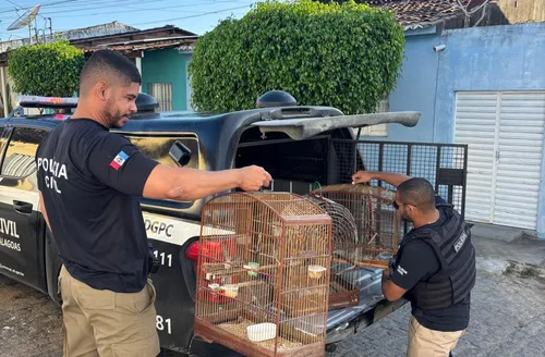 Operação prende 35 pessoas em ação contra o crime organizado