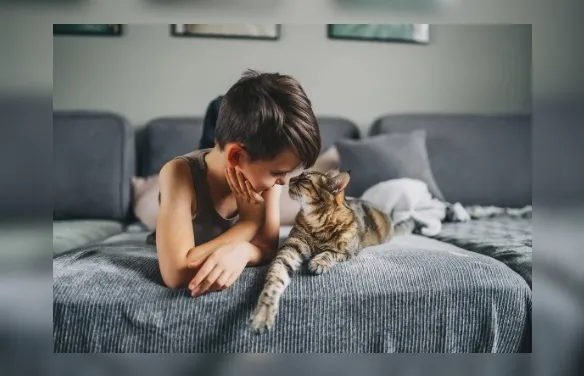 Entenda o que conviver com um gato faz com o seu cérebro e com o dele