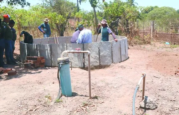 Ferramenta tecnológica ‘Sisteminha’ amplia produção e renda de famílias rurais