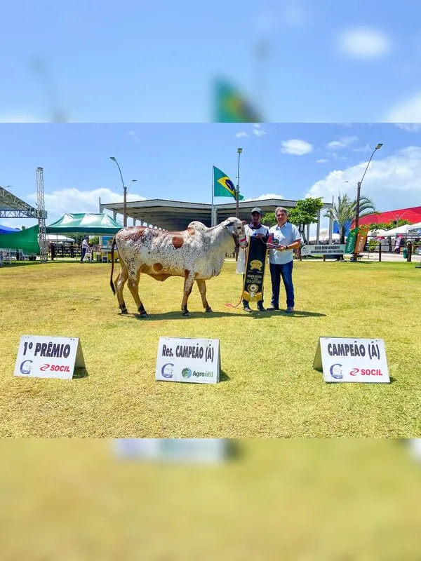 Expoagro 2025 foca em inovação e protagonismo no agronegócio do Nordeste