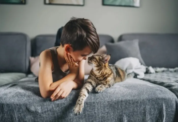 Imagem ilustrativa da imagem Entenda o que conviver com um gato faz com o seu cérebro e com o dele