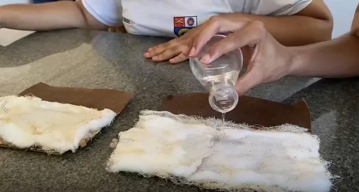 Frauda é feita com fibras de coco e bagaço de cana-de-açúcar