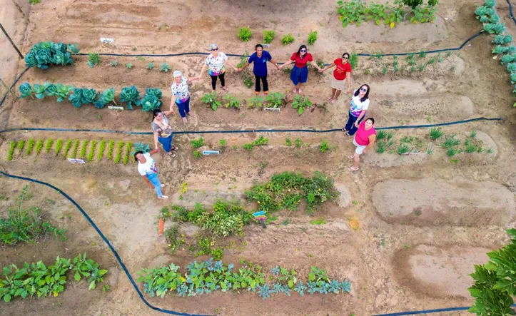 Programas como o Hortas Urbanas serão exibidos na COP30, em Belém, por comitiva estadual