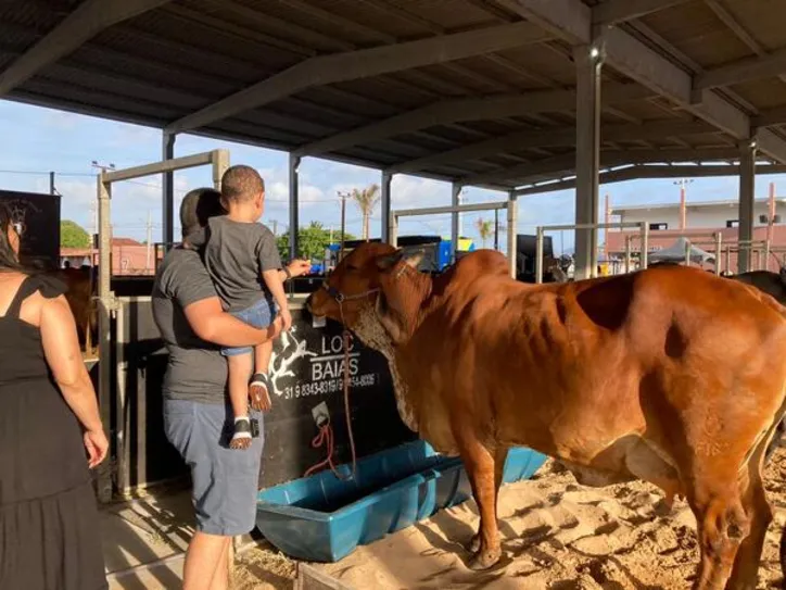 Imagem ilustrativa da imagem Expoagro 2025 foca em inovação e protagonismo no agronegócio do Nordeste