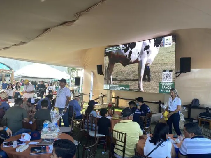 Imagem ilustrativa da imagem Expoagro 2025 foca em inovação e protagonismo no agronegócio do Nordeste