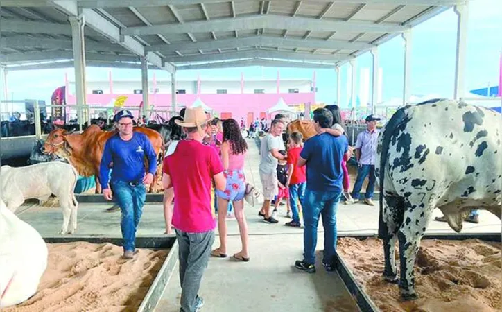 Exposição traz animais de destaque das principais raças criadas em Alagoas