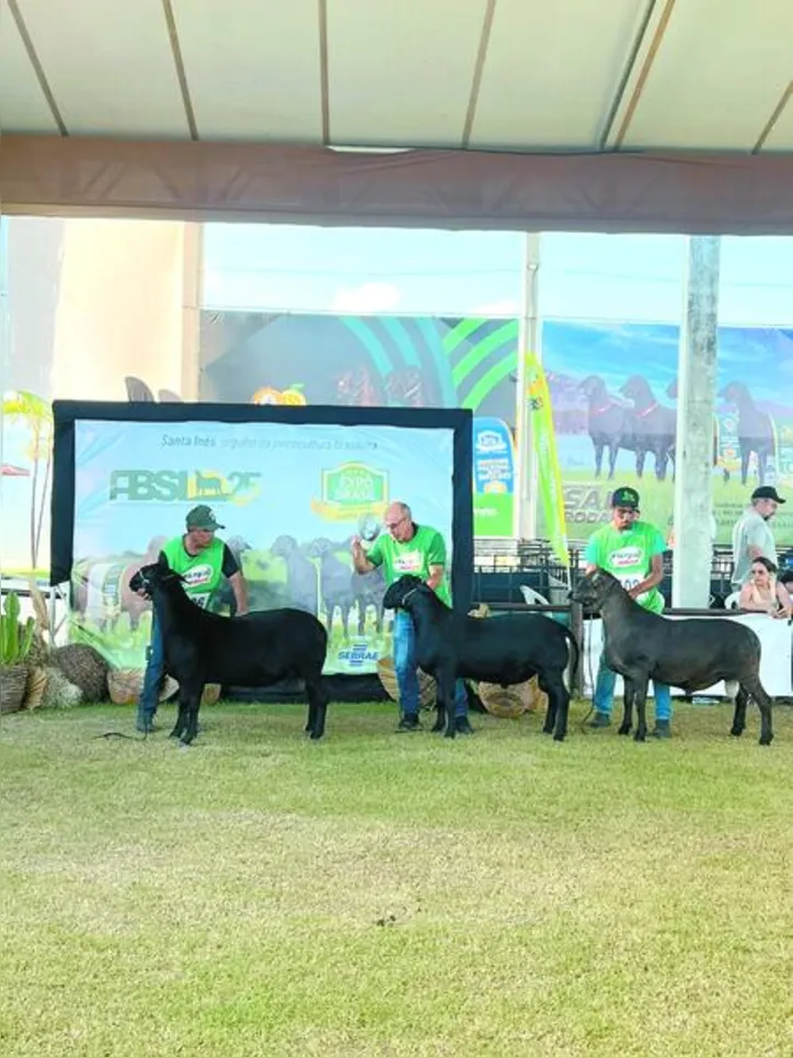 Imagem ilustrativa da imagem Expoagro Alagoas 2025 tem faturamento recorde e movimenta mais de R$ 50 milhões em negócios