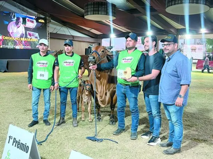 Imagem ilustrativa da imagem Expoagro Alagoas 2025 tem faturamento recorde e movimenta mais de R$ 50 milhões em negócios