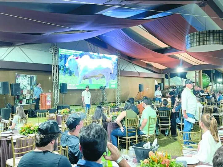 Imagem ilustrativa da imagem Expoagro Alagoas 2025 tem faturamento recorde e movimenta mais de R$ 50 milhões em negócios