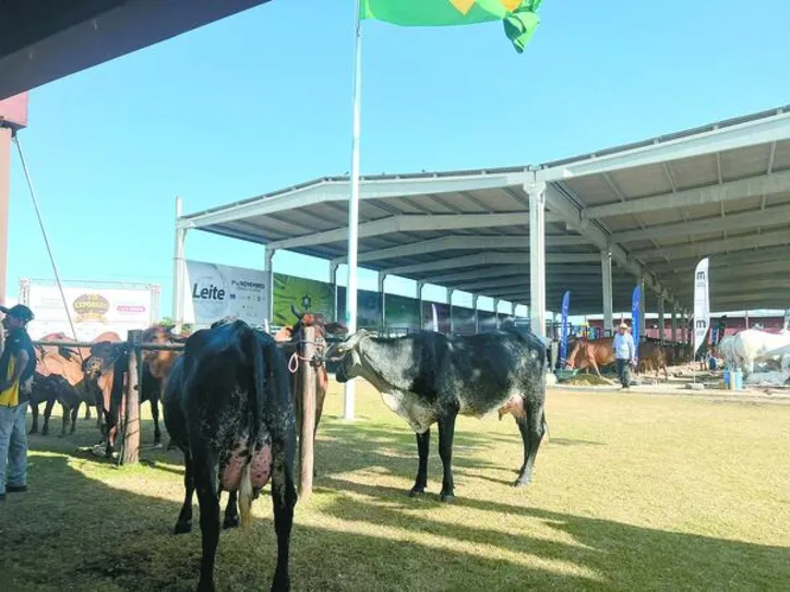 Imagem ilustrativa da imagem Expoagro Alagoas 2025 tem faturamento recorde e movimenta mais de R$ 50 milhões em negócios
