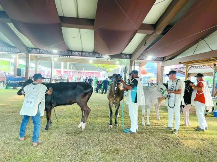 Imagem ilustrativa da imagem Expoagro Alagoas 2025 tem faturamento recorde e movimenta mais de R$ 50 milhões em negócios