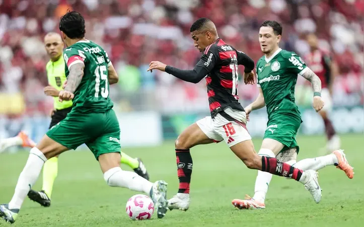 Fla e Palmeiras são os finalistas da atual edição da Libertadores