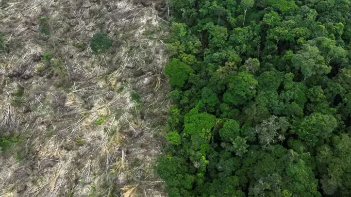 Area protegida sofre com o desmatamento