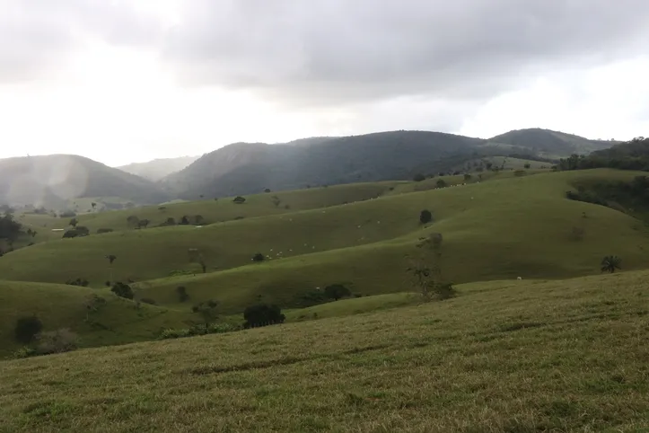 Imagem ilustrativa da imagem Mocambo de Osenga: livro revela o reduto palmarino esquecido em Chã Preta