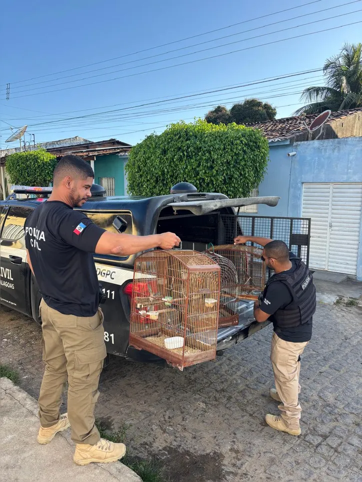 Gaiolas com pássaros foram apreendidas na operação