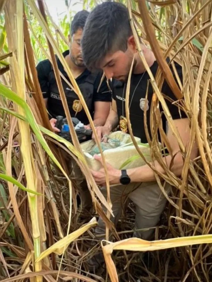 Polícia apreendeu droga durante a operação