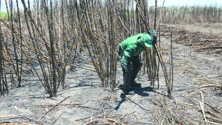Reajuste foi definido com base no IGPM dos últimos 12 meses