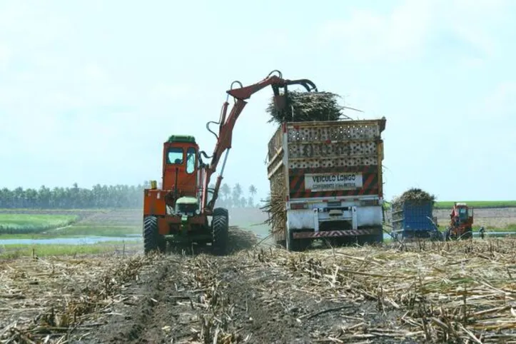 Imagem ilustrativa da imagem Safra 25/26 acumula 2,5 milhões de toneladas de cana processadas em Alagoas