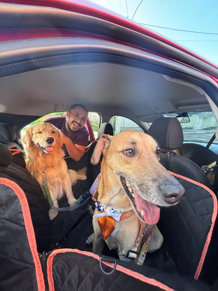 Imagem ilustrativa da imagem Um táxi cheio de amor