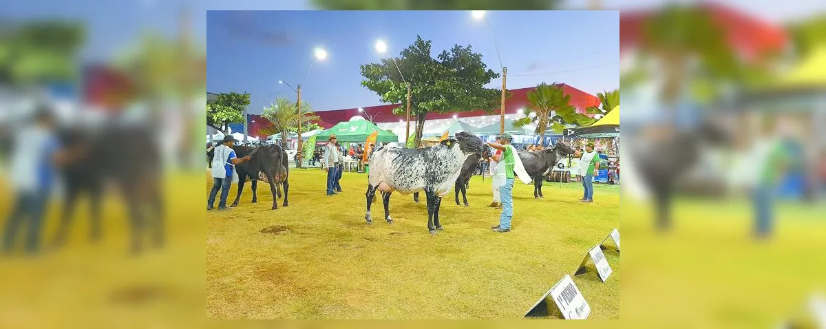 ACA divulga calendário de 2026 das grandes exposições agropecuárias de Alagoas
