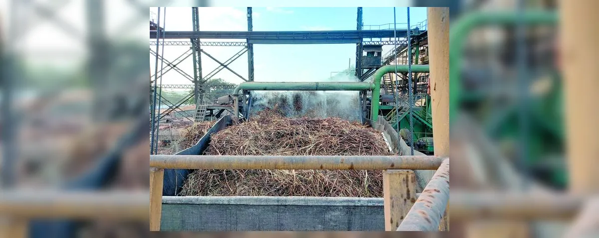 CBIO pode garantir renda extra para fornecedores de cana