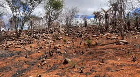 Alagoas tem aumento na área e na intensidade da seca, aponta monitor