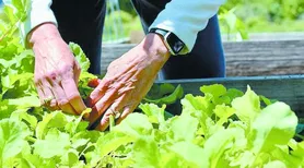 FNE terá orçamento recorde para ampliar apoio à base produtiva