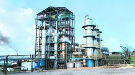 Safra 25/26 tem mais de 7,9 milhões de toneladas de cana processadas