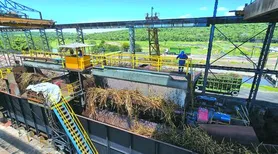 Usinas alagoanas já produziram mais de 613 mil toneladas de açúcar na safra 25/26