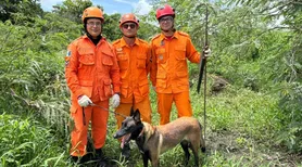 Canil dos Bombeiros atua na localização de desaparecidos em Alagoas