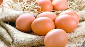 Exportações de ovos totalizam 40,9 mil toneladas em 2025