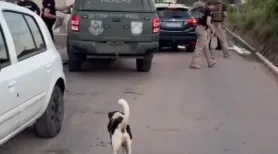 Homem é preso em Maceió suspeito de aplicar golpe do falso cadastro habitacional