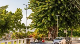 Mirantes de Maceió ganham rota histórica e passam por requalificação