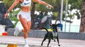 Pace, o ‘cão atleta’ que virou símbolo da orla de Maceió