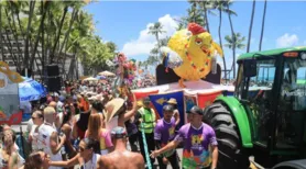 Pinto da Madrugada deve reunir 500 mil foliões na orla de Maceió