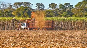 Safra de cana supera 11,2 milhões de toneladas esmagadas em Alagoas