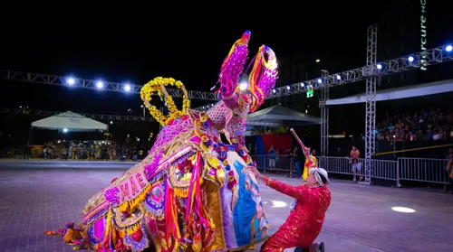 Mais de 30 grupos se apresentam no 6º Festival Alagoano de Bumba Meu Boi - Imagem