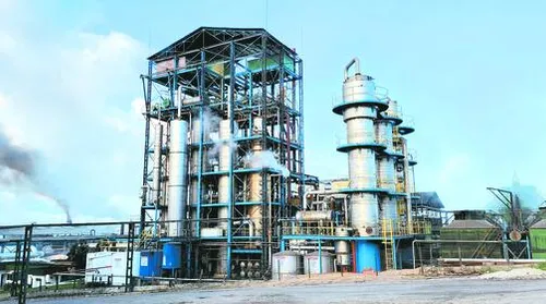 Safra 25/26 tem mais de 7,9 milhões de toneladas de cana processadas - Imagem