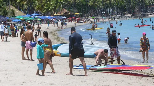 Alta temporada amplia número de guias turísticos em Alagoas - Imagem