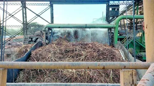 CBIO pode garantir renda extra para fornecedores de cana - Imagem