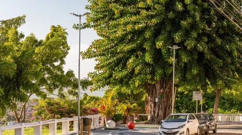 Mirantes de Maceió ganham rota histórica e passam por requalificação - Imagem