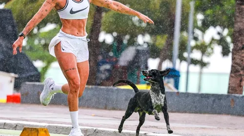 Pace, o ‘cão atleta’ que virou símbolo da orla de Maceió - Imagem