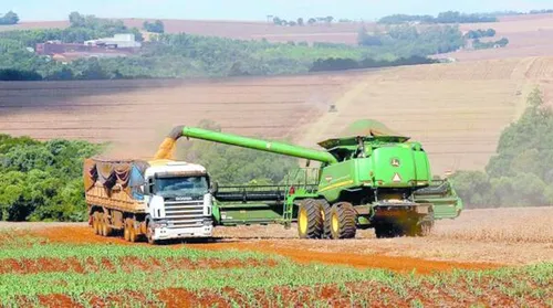 Safra cresce 18,2% em 2025, e produção de grãos mais que dobra em 13 anos - Imagem